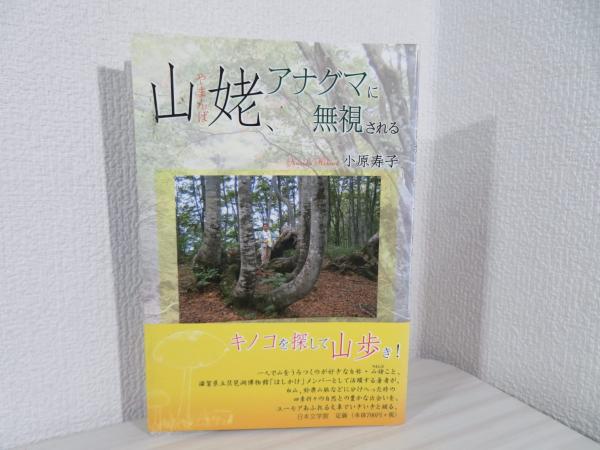 特別セーフ 存在と無のはざまで : 著 ハイデッガーと形而上学(嶺秀樹 哲学、思想