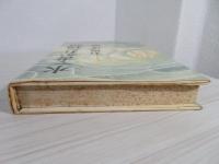 水で書かれた物語
