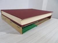 文化変化の理論 : 多系進化の方法論