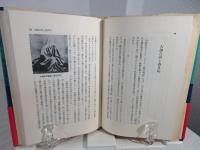 英雄・天才のカルテ : 病跡学漫語