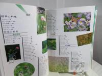 野草を食べる本 : 図解ハンドブック 探す・採るー都会の意外な自然食