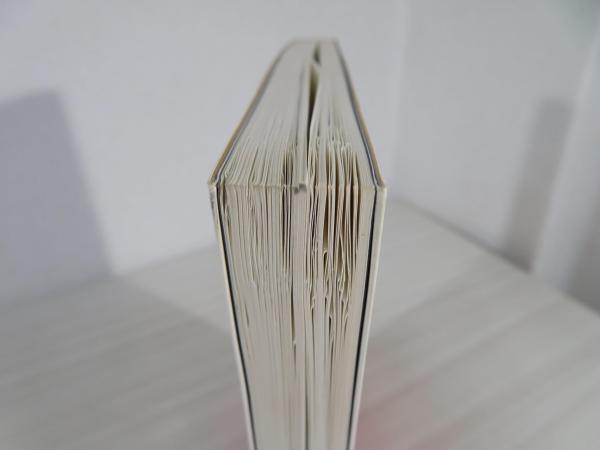 昭和天皇の謎 : 神として、人として(鹿島曻 著) / 古本、中古本