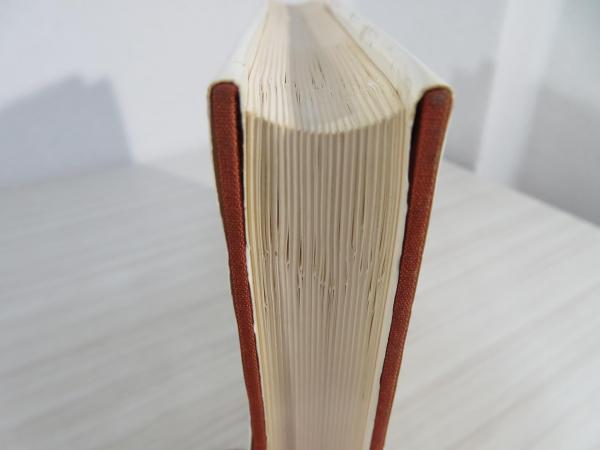 孤独の迷宮 : メキシコの文化と歴史 | ¥1,700 - 日本の古本屋 / 日本の