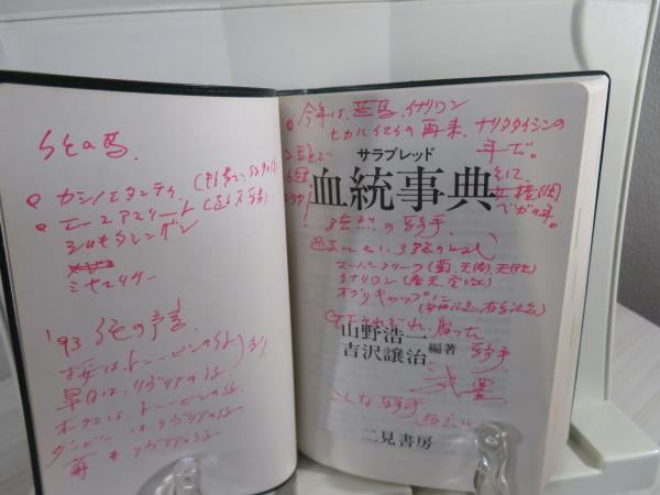100％品質 サラブレッド血統事典(山野浩一, ブック / 編著) 吉沢譲治 和書