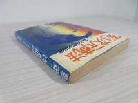 第3次元商法 : 独立成功への秘密