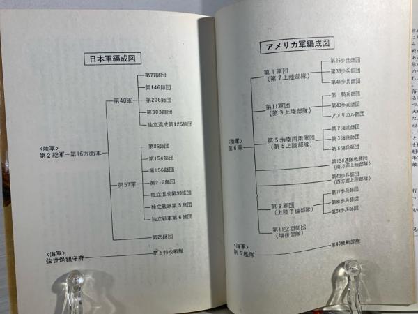 本土決戦 : 日本侵攻・昭和20年11月(D.ウェストハイマー 著 ; 木村譲二