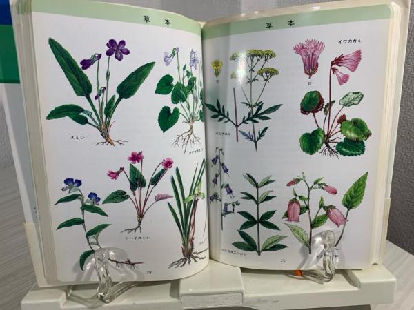 【中古】 六甲山の植物 六甲山の植物 : 植物名と花のトレッキング(近藤浩文 ほか著 ; コーベ