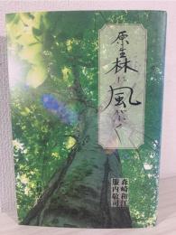 原生林に風がふく