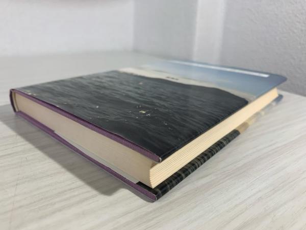 【中古】 建部綾足 彩の人/新典社/玉城司 建部綾足 : 彩の人(玉城司 著) / 古本、中古本、古書籍の通販は