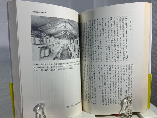 アニマル・マシーン : 近代畜産にみる悲劇の主役たち(ルース