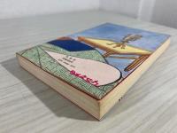 肉蒲団 : 中国奇書