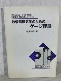 数値電磁気学のためのゲージ理論