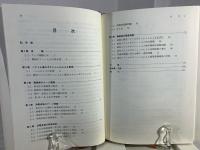 数値電磁気学のためのゲージ理論