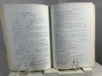 ターンパイク・モデル : 多部門最適化モデル