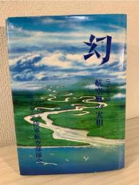 幻　ニューギニア – 航空機の実相