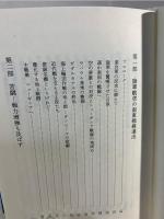 幻　ニューギニア – 航空機の実相
