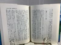 幻　ニューギニア – 航空機の実相