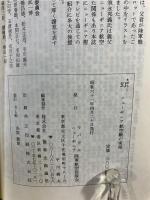 幻　ニューギニア – 航空機の実相