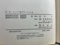 ヴィジョン