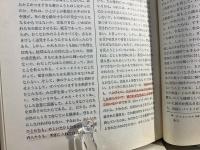 カルヴァン新約聖書註解