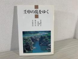 壬申の乱をゆく