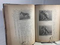 軍犬の参考
