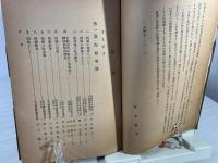 街娼 : 実態とその手記