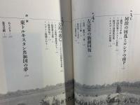 中国の火薬庫 : 新疆ウイグル自治区の近代史