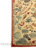 教育八百屋物づくし 【大正6年 おもちゃ絵】