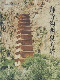 拜寺溝西夏方塔【寧夏文物考古研究所叢刊2】