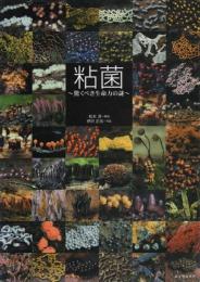粘菌: 驚くべき生命力の謎