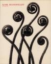 Karl Blossfeldt: Fotografie [カール・ブロスフェルト: 植物写真集]