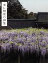 杉本博司 春日神霊の御生: 御蓋山そして江之浦