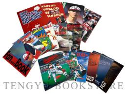 大阪近鉄バファローズ YEAR BOOK '87～'03年版のうち91年版欠の16冊一括