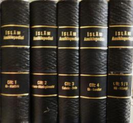 Islam Ansiklopedisi -Islam alemi tarih, cografya, etnografya ve biyografya lugati-[イスラーム百科事典 -イスラーム世界の歴史、地理、民族誌、伝記の事典-] 全13巻15冊揃
