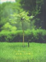 若林奮 3冊一括 【Dog Field/DAISY/くるみの樹】