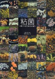 粘菌: 驚くべき生命力の謎