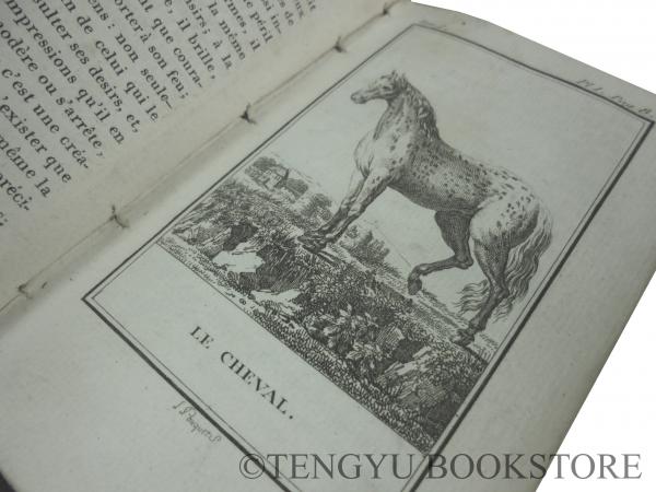 Histoire Naturelle par Buffon 「ビュフォンの博物誌」全74冊揃