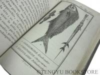 Histoire Naturelle par Buffon 「ビュフォンの博物誌」全74冊揃