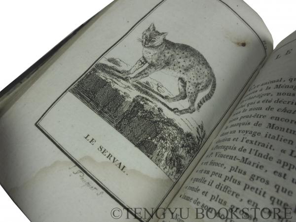 Amazon.co.jp: 超希少本 200年前 ビュフォン全集21巻 博物誌