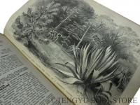 ENCYCLOPEDIA of GARDENING（ガーデニングの百科事典） The Illustrated Dictionary of Gardening an encyclopaedia of