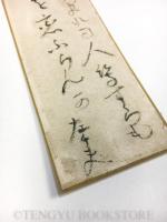 伊藤左千夫 短冊