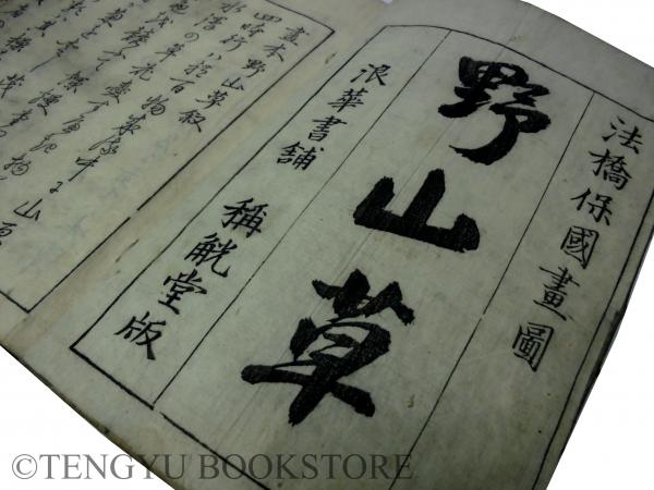 絵本 野山草 全5冊揃 [和本 江戸中期 園芸 植物図鑑](橘保国 画