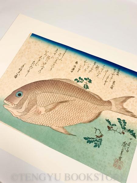 永寿堂版・山庄版 広重 魚づくし