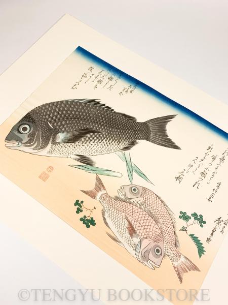 永寿堂版・山庄版 広重 魚づくし / 古本、中古本、古書籍の通販は 