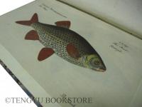 Ichtyologie ou Histoire Naturelle des Poissons ブロッホ「魚類図譜」仏語版  全6冊揃 [18世紀 博物図鑑 銅版画]