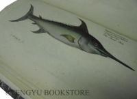 Ichtyologie ou Histoire Naturelle des Poissons ブロッホ「魚類図譜」仏語版  全6冊揃 [18世紀 博物図鑑 銅版画]