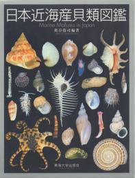 日本近海産貝類図鑑 Marine Mollusks in Japan
