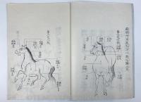 和漢旋毛之名目 【江戸後期 写本】