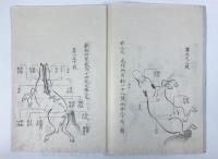 和漢旋毛之名目 【江戸後期 写本】
